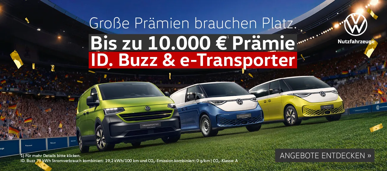 VW e-NFZ Sonderleasing